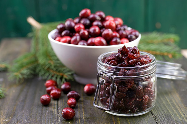Was sind die Vorteile von getrockneten Cranberries?