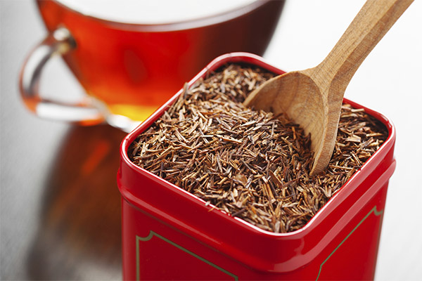 Interesting facts about rooibos