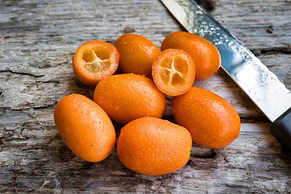 Interessante fakta om kumquat