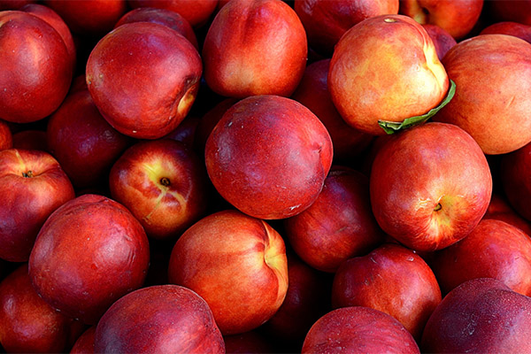 Interesting facts about nectarines