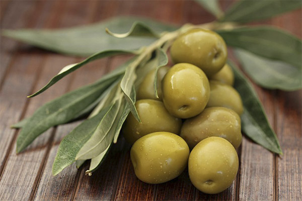 Interessante fakta om oliven