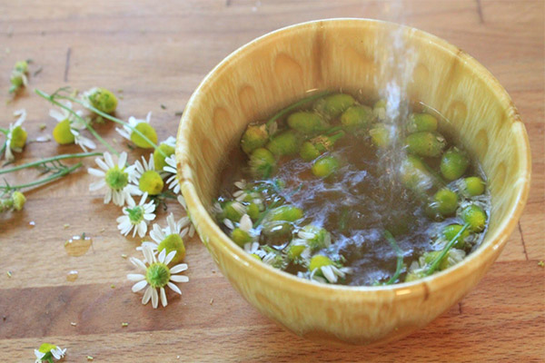 How to prepare an infusion of chamomile