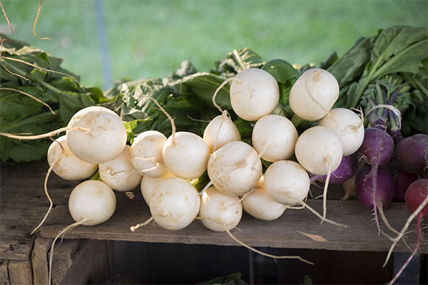 How to Choose and Store White Radish