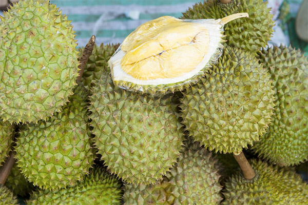 Auswahl und Lagerung von Durian