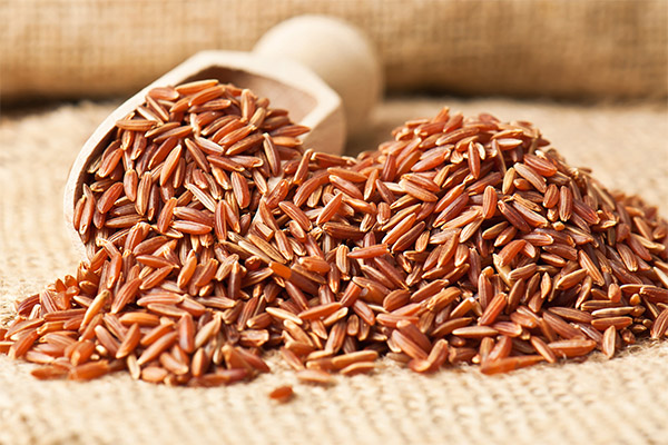 Auswahl und Lagerung von rotem Reis