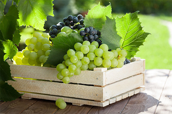 Auswahl und Lagerung von Weintrauben