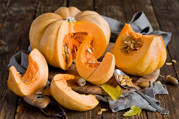 How to choose a pumpkin for baking