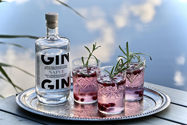 Cocktails med gin