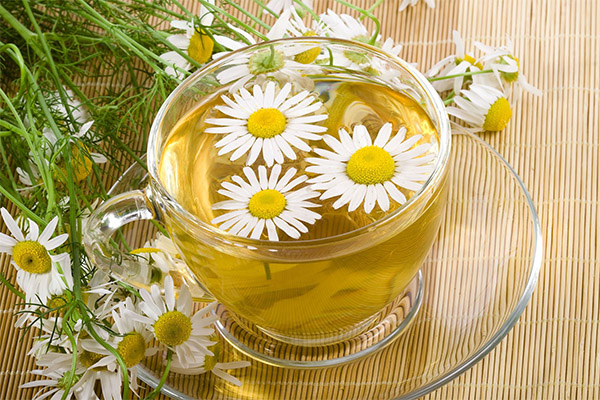 Infusion of chamomile in cosmetology