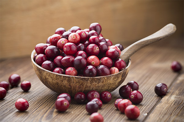 Vorteile von Cranberries