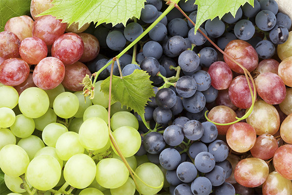 Les avantages des différents raisins