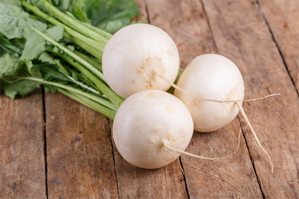 Benefits and harms of white radish