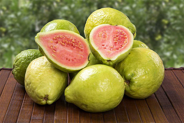 Nutzen und Schaden von Guave