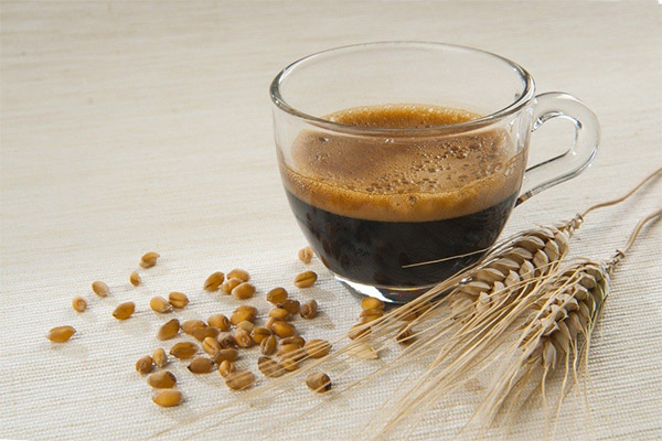 Nutzen und Schaden von Gerstenkaffee
