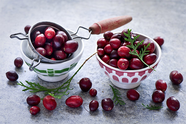Nutzen und Schaden von Cranberries