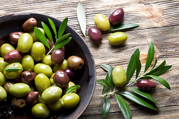 Nutzen und Schaden der Olive