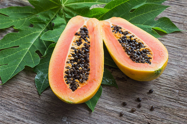 Fordele og skadevirkninger af papaya