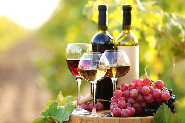 Přínosy a škody vína