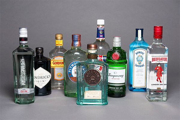 Popular Gin Brands