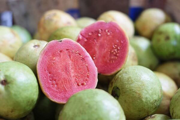 The use of guavas in traditional medicine