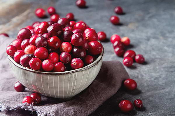 Recipes of folk medicine based on cranberries