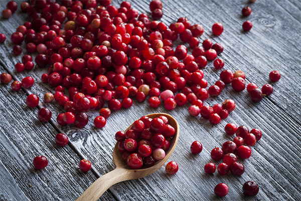 Wie viel Cranberrys kann man am Tag essen?