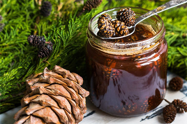 Jam from pine cones with honey
