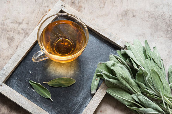 Types of medicinal compositions with sage