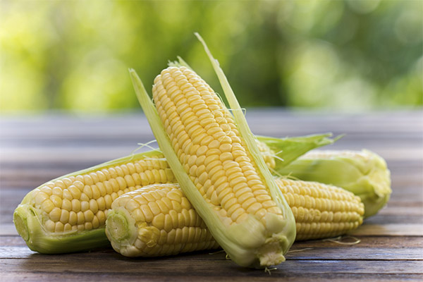 Na čo je kukurica dobrá?