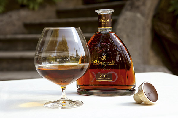 How to drink Cognac