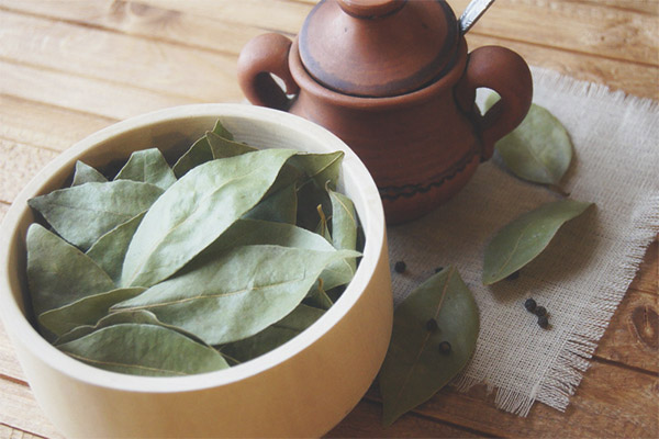 How to cook bay leaf decoction