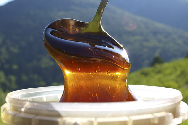 Comment choisir et conserver le miel