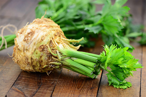 Celery root in medicine