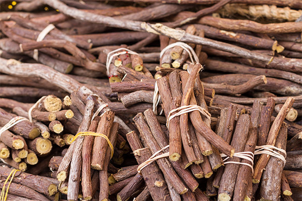 Therapeutic properties of licorice root