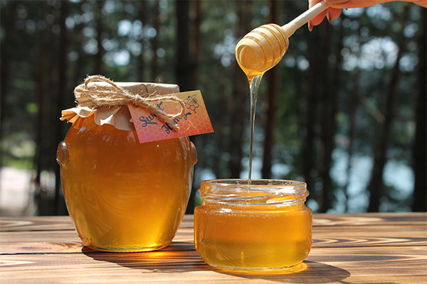 Kan honning i traditionel medicin