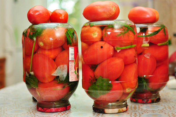 Marinerede tomater