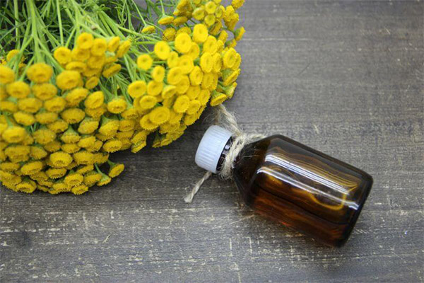 Oil of tansy