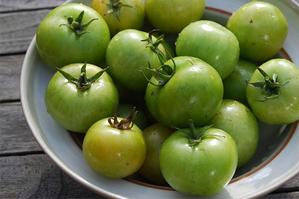 Can I eat green tomatoes?