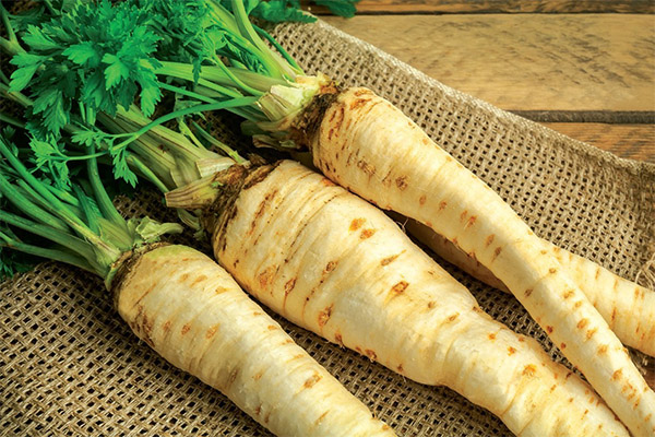 Parsnip in traditional medicine