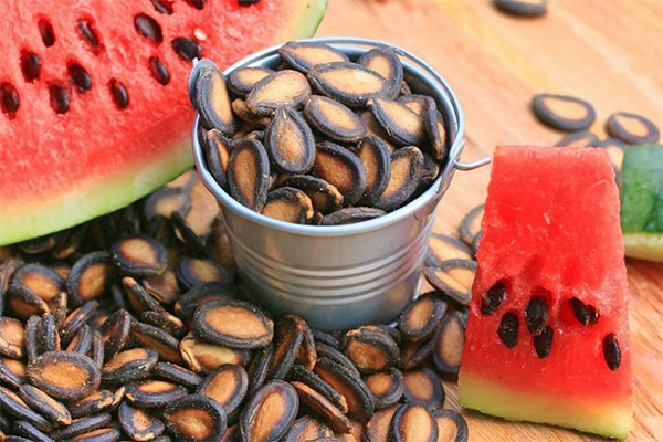 Nutzen und Schaden von Wassermelonenkernen