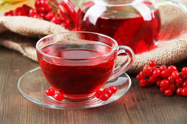 Fordelene og skaderne ved guelder rosehip te