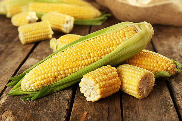 Nutzen und Schaden von Mais