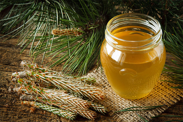Avantages et inconvénients du miel sauvage