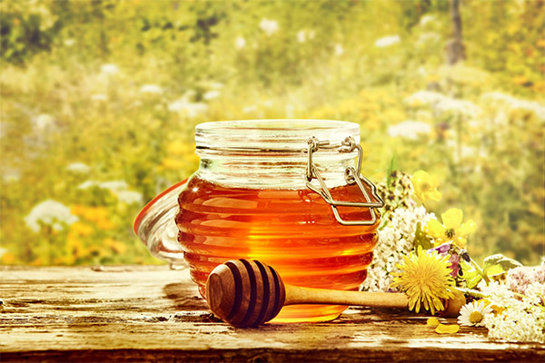 Nutzen und Schaden von Mai-Honig