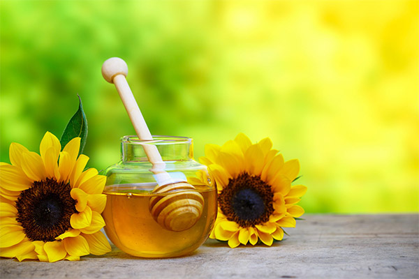 Les avantages et les inconvénients du miel de tournesol