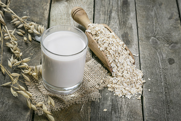 Beneficiile și daunele laptelui de ovăz