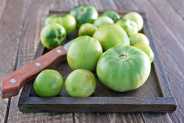 Výhody a škody zelených paradajok