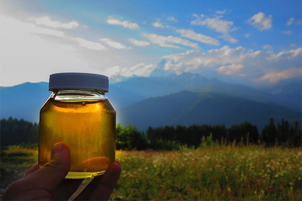 Use of mountain honey in medicine