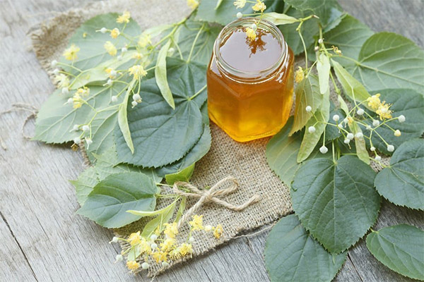 Rezepte für traditionelle Medizin mit Lindenhonig