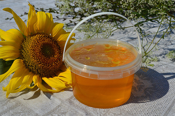 Rezepte der Volksmedizin mit Sonnenblumenhonig